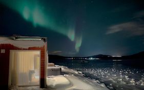 Norwegian Wild